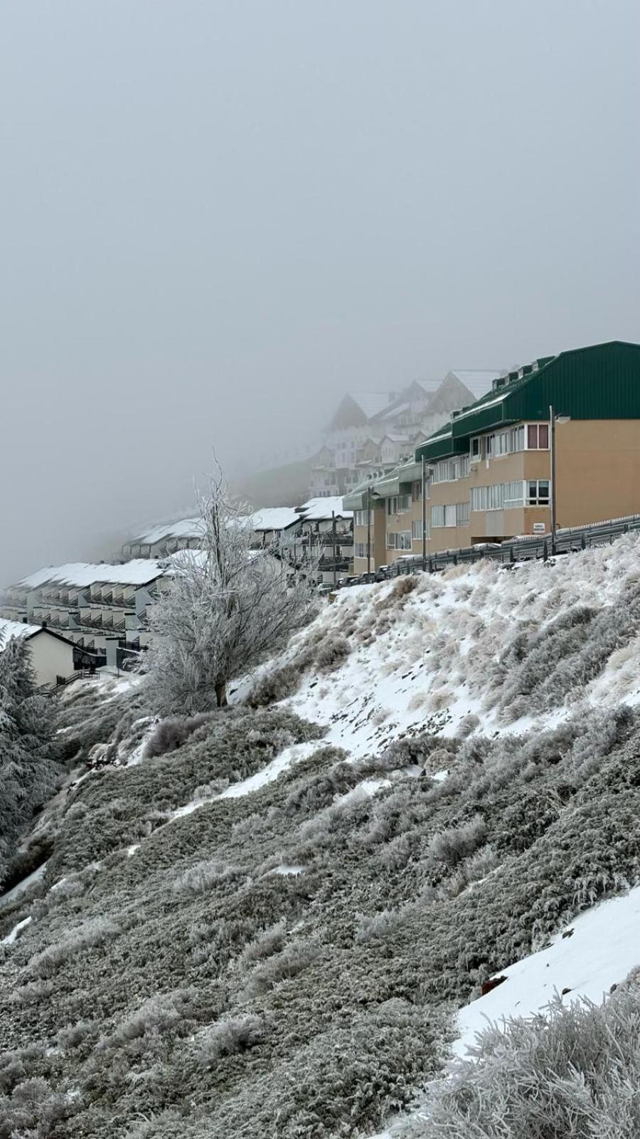 Appartamento Biznaga Nevada Granada Esterno foto