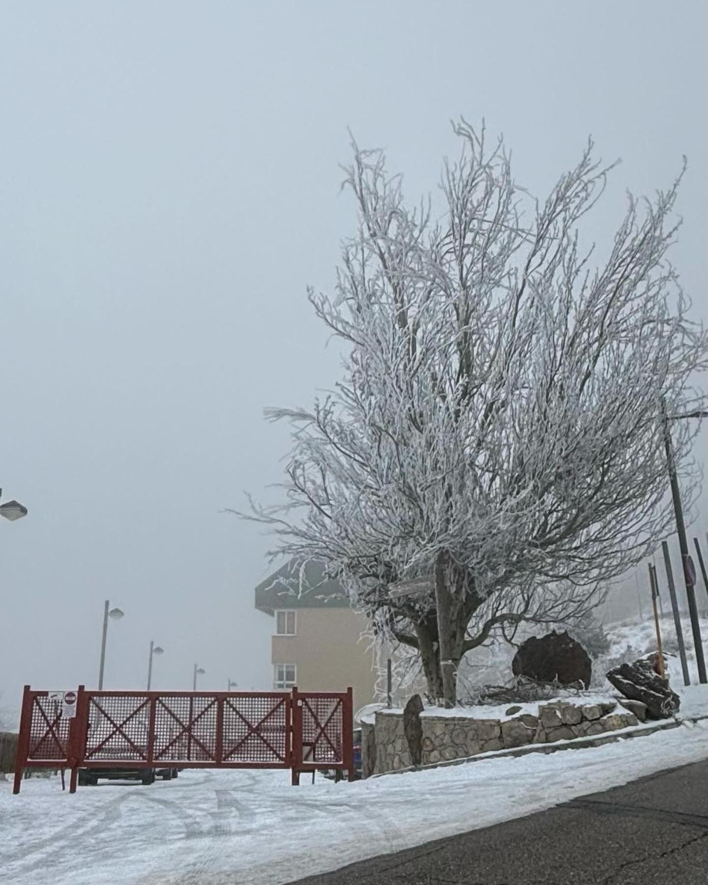 Appartamento Biznaga Nevada Granada Esterno foto