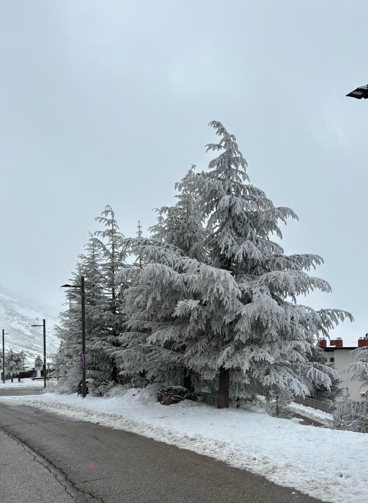 Appartamento Biznaga Nevada Granada Esterno foto